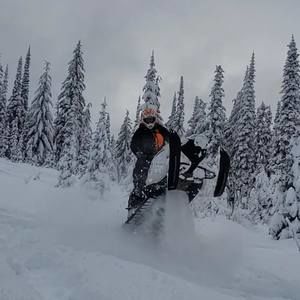 Meet your Posher, Dalton